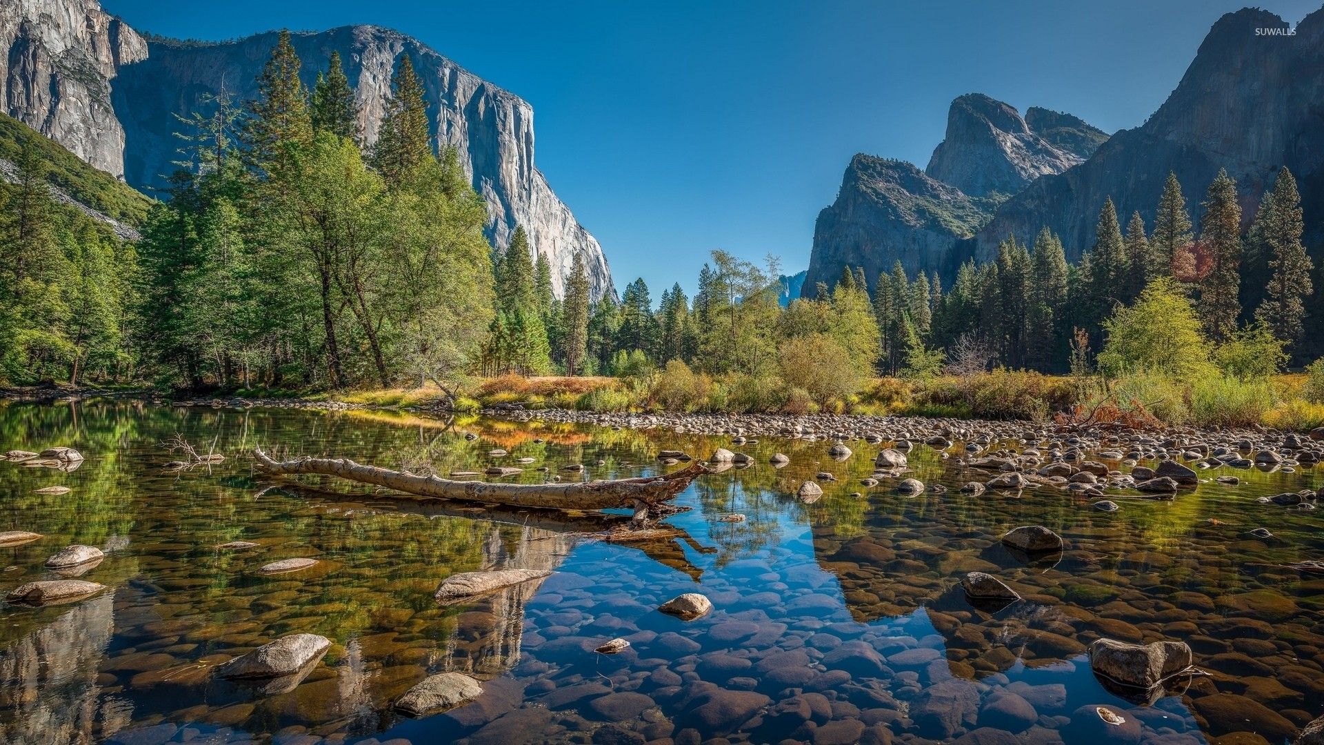 Yosemite National Park [9] Wallpaper National Park Wallpaper & Background Download