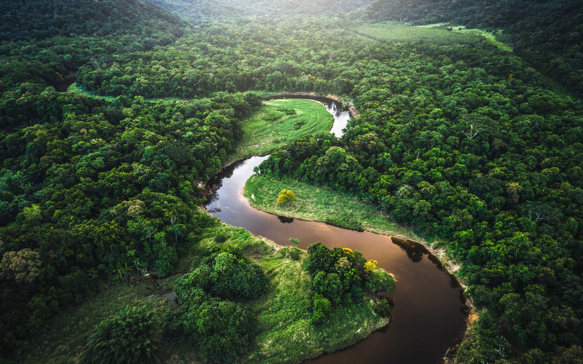 Amazon River Winding Through Atlantic Rainforest In
