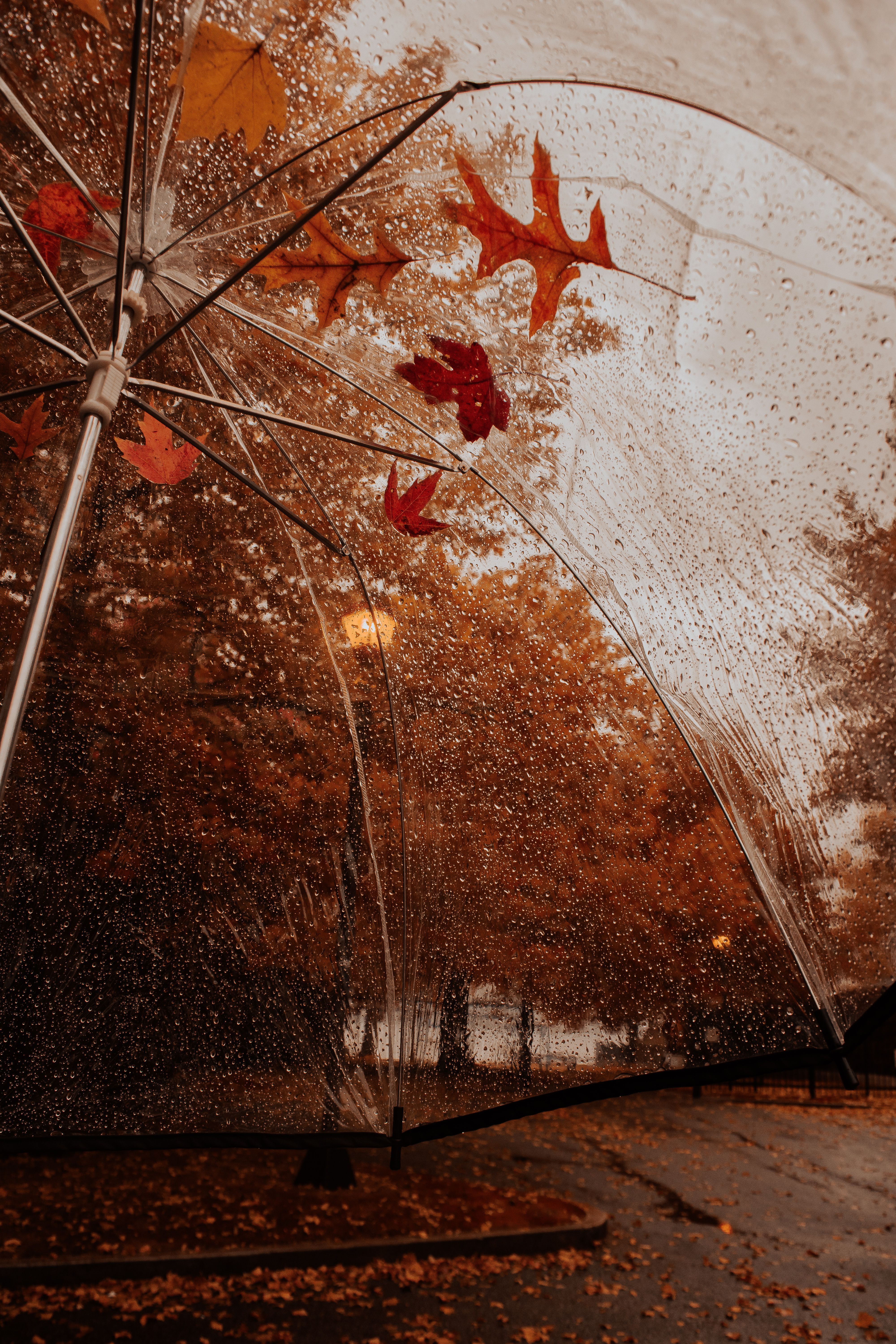 Rainy fall day. Fall wallpaper, Free fall wallpaper, Autumn photography