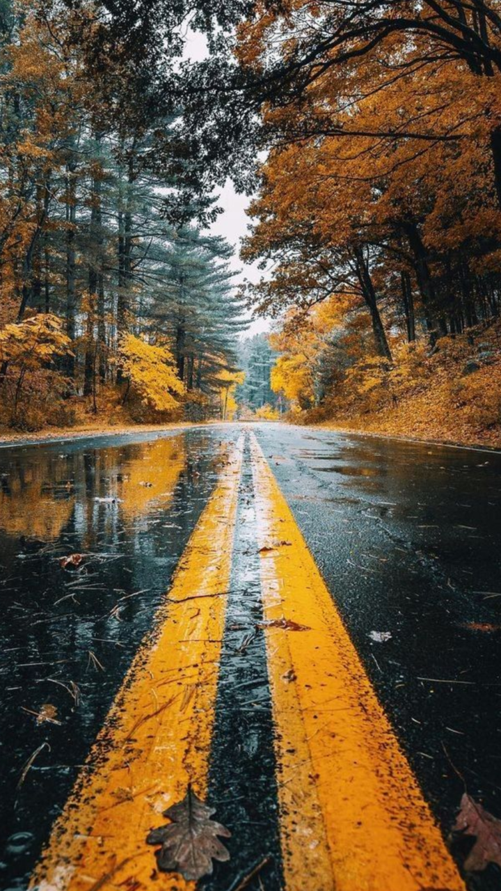 Rain Autumn Wallpaper & Background Download