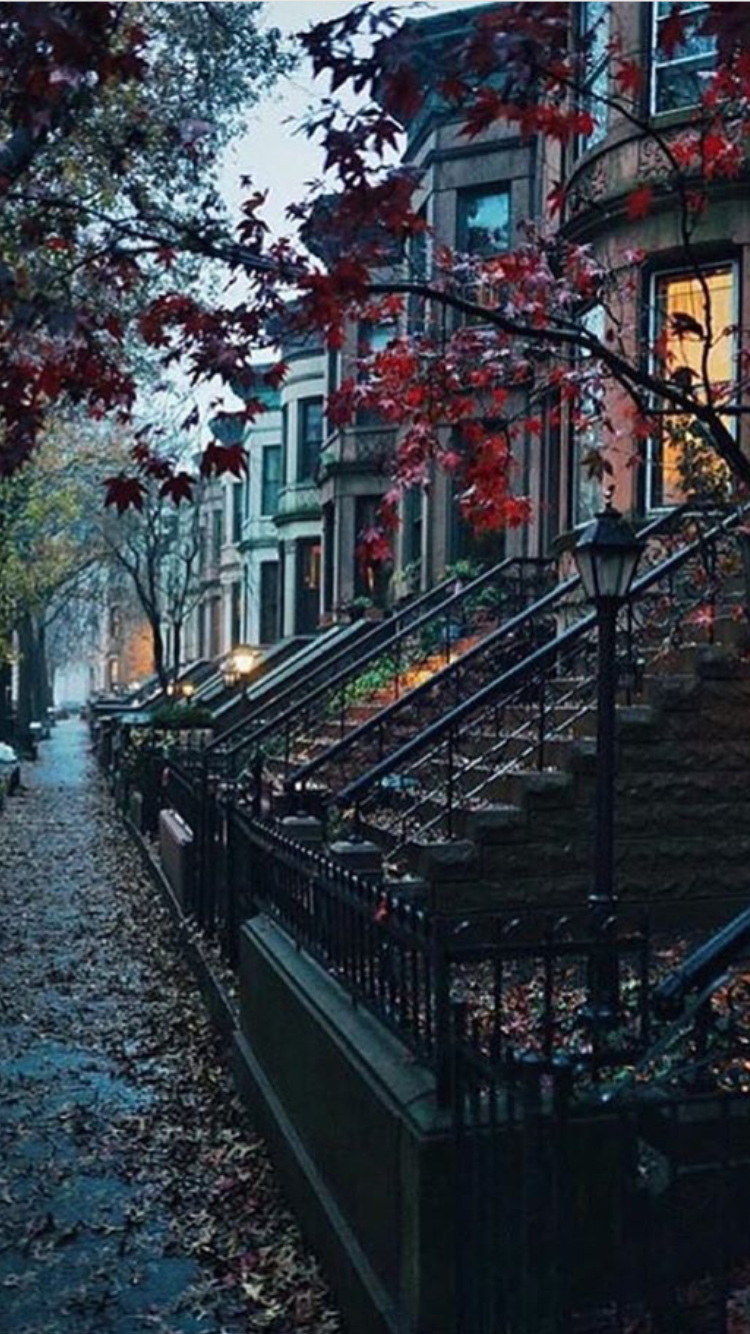 Cozy neighbourhood vibes. City, Beautiful places, Autumn photography