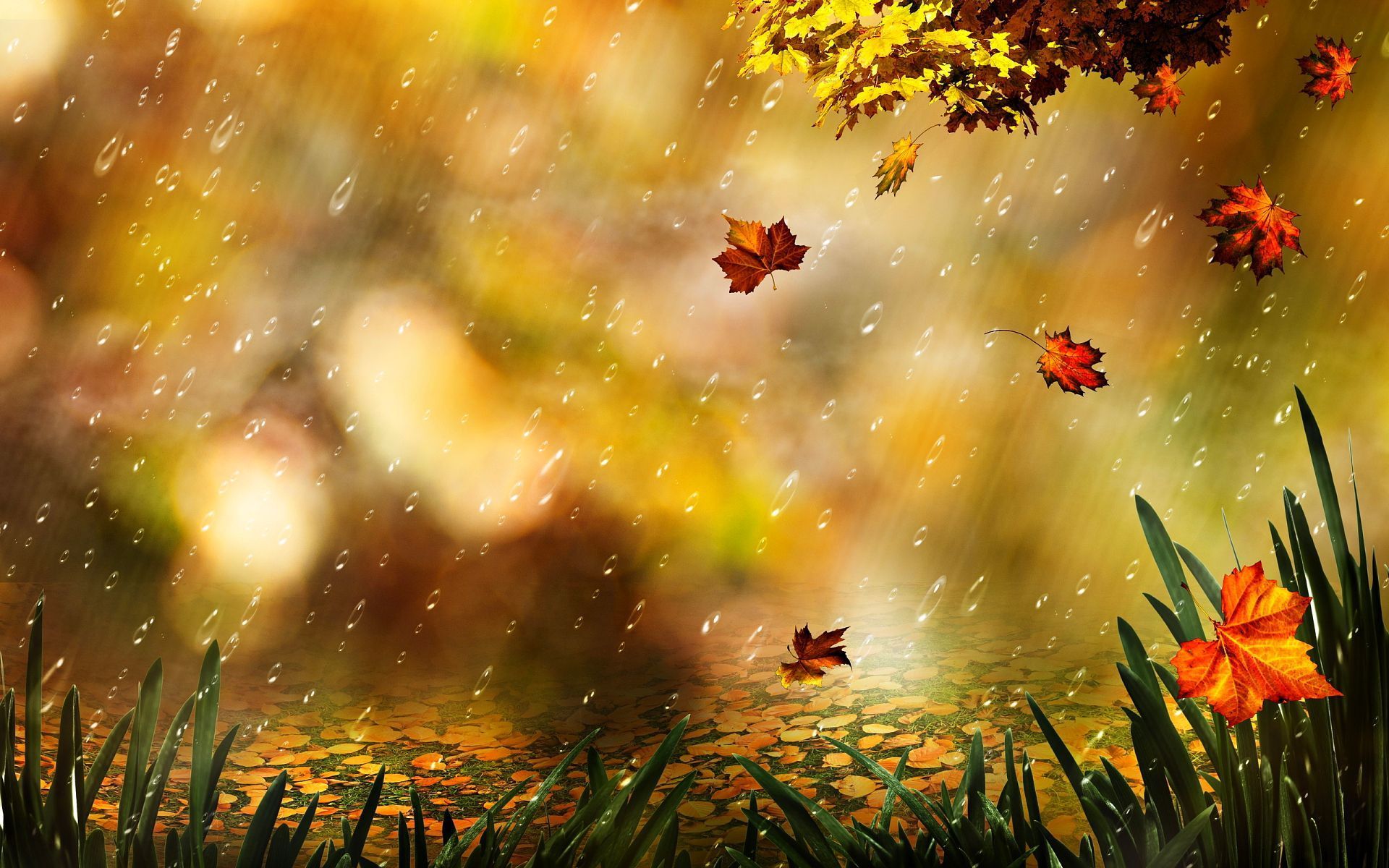 Autumn Rain Wallpaper Free Autumn Rain Background