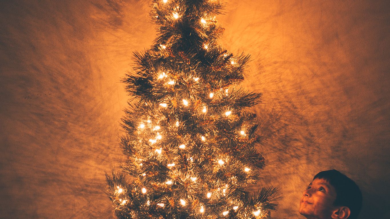 Christmas Tree Light Holiday Tree Nature Wallpaper