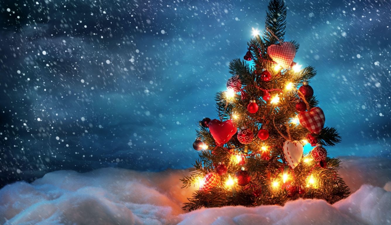tree, new year, christmas HD Laptop Wallpaper, HD Holidays 4K Wallpaper, Image, Photo and Background