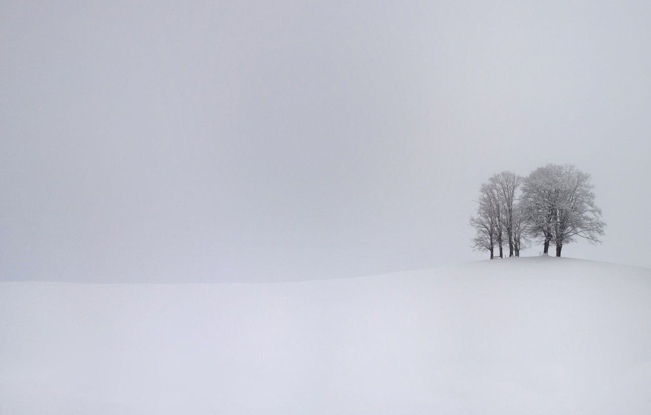 Wallpaper winter, snow, trees, storm, storm, trees, winter, snow, cold, cold image for desktop, section природа