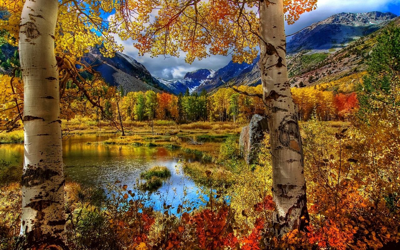 Hd Desktop Wallpaper: Autumn Splendor