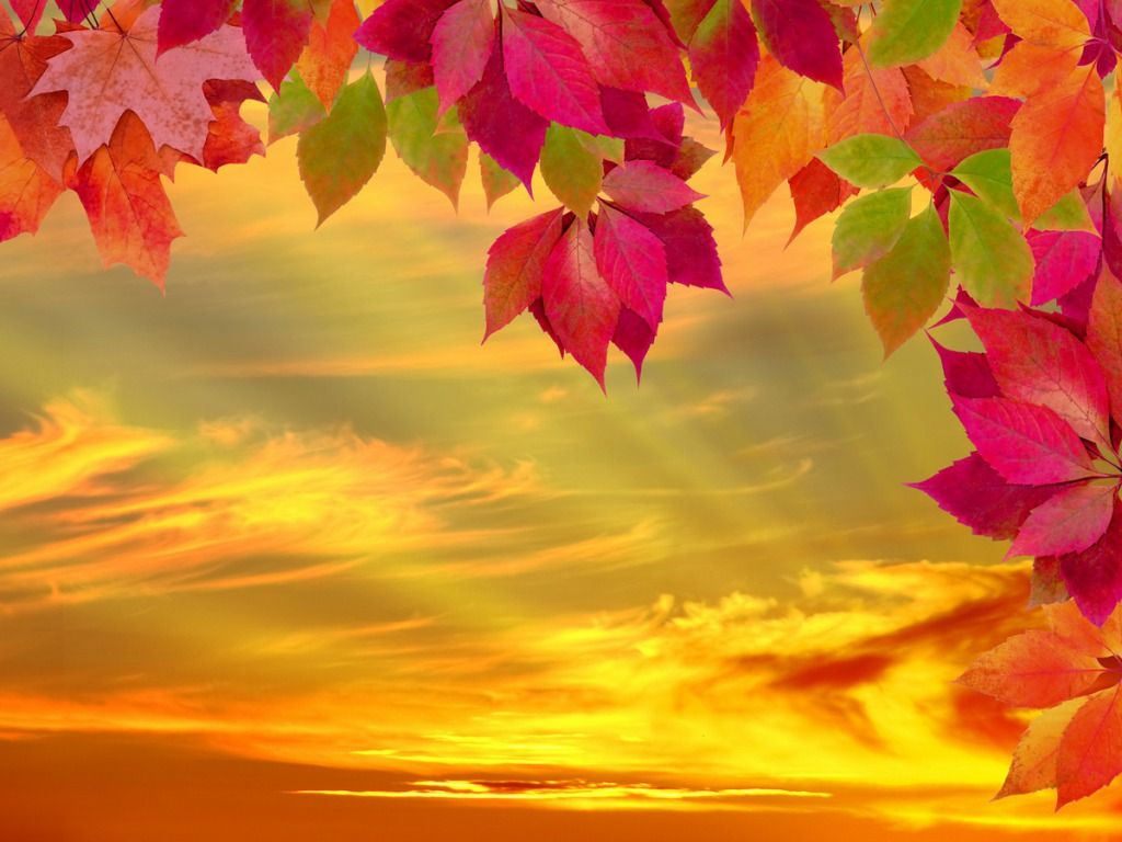 Fall Wallpaper Fall Facebook Cover