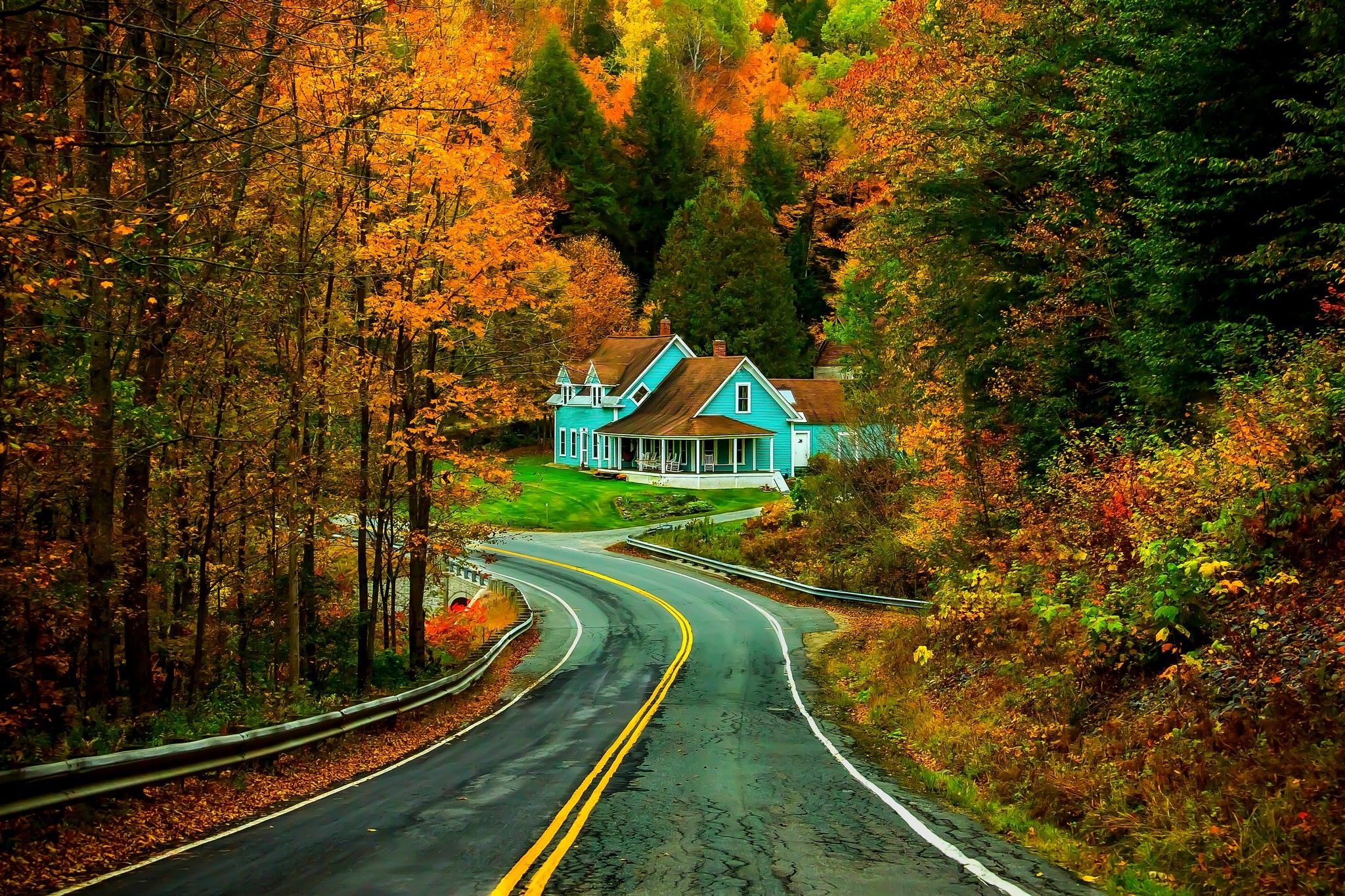 autumn, road, splendor, trees, fall, nature, forest, house, leaves, autumn splendor wallpaper