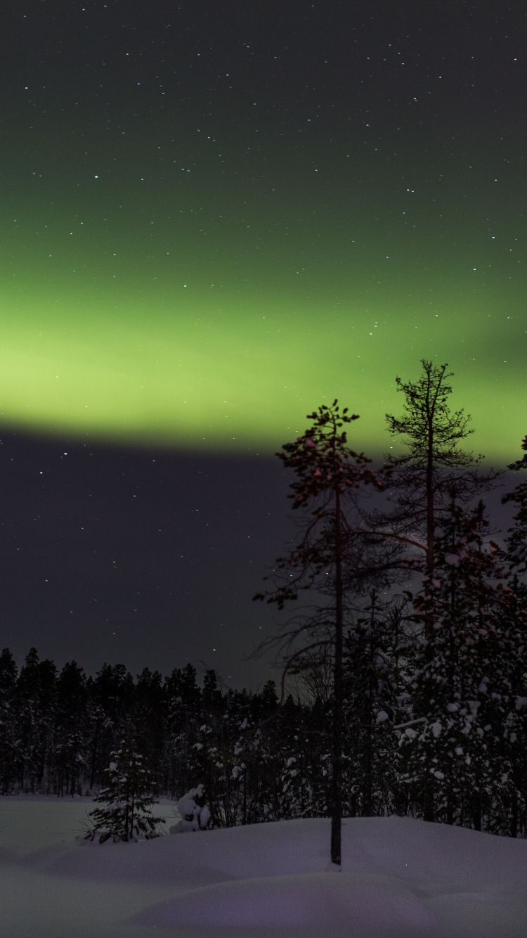 Download Northen lights, sky, forest, tree, nature, Finland wallpaper, 750x1334, iphone 7, iPhone 8