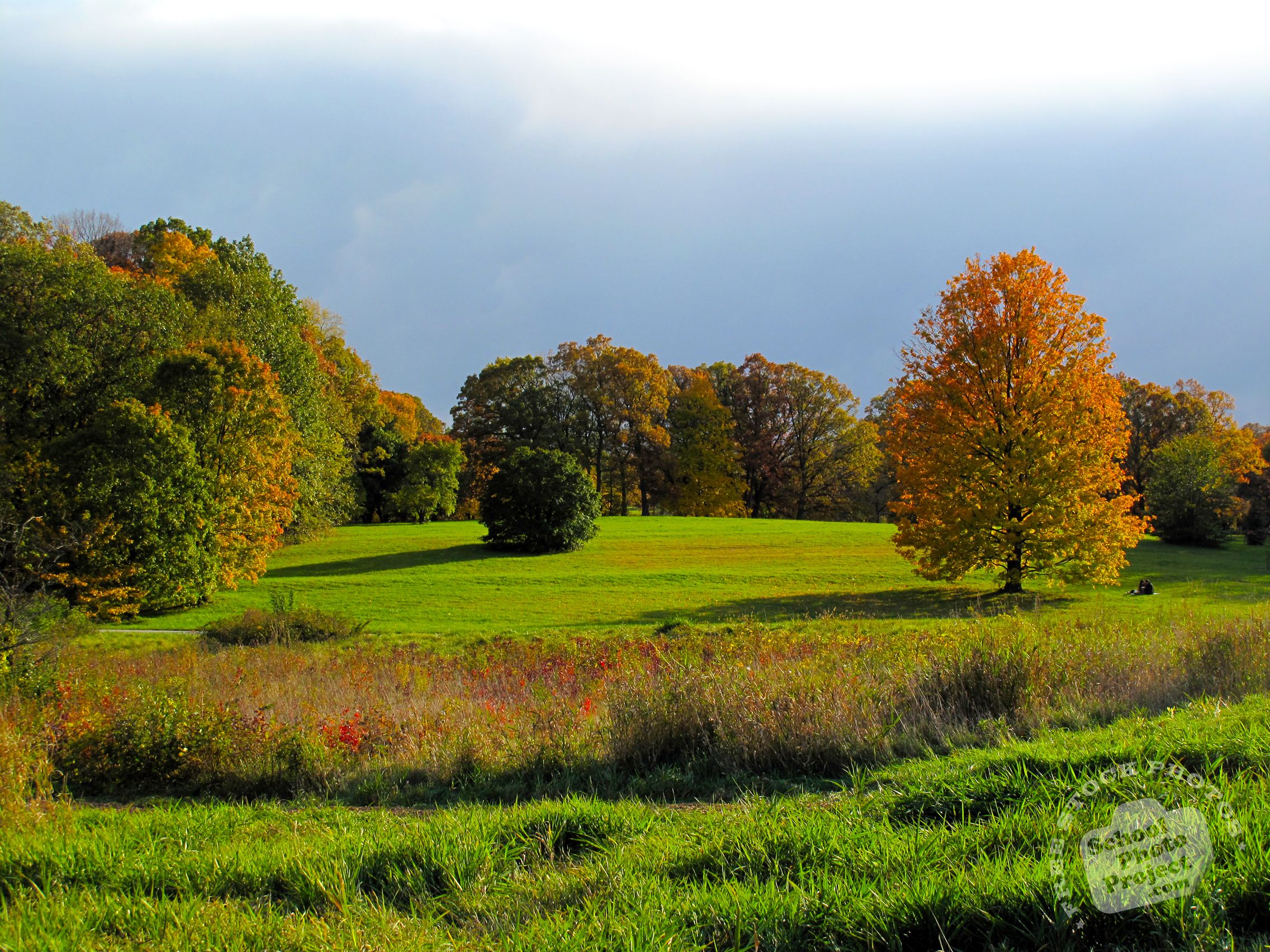 FREE Autumn Scenery Photo, Fall Foliage Picture, Beautiful Panorama, Royalty Free Landscape , Image, Picture, Photography