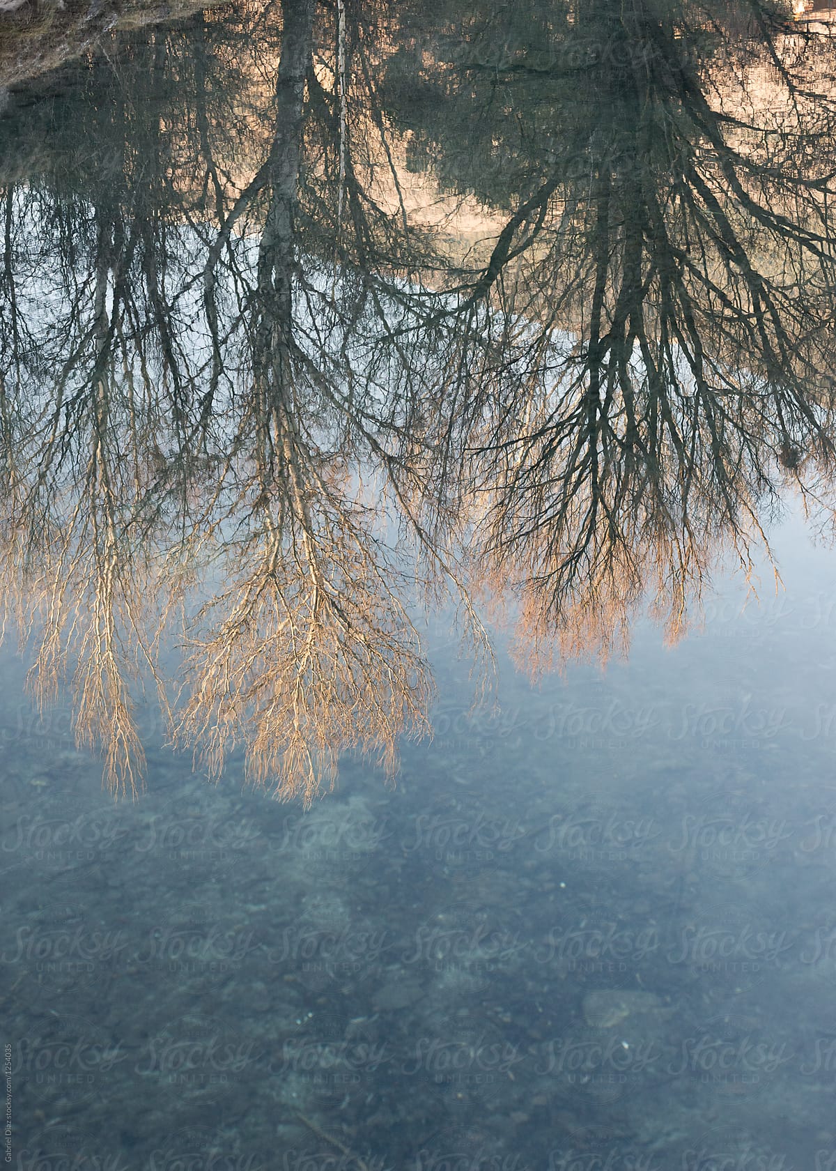 Autumnal woodland panorama by foggy morning. Small stream, leafless trees reflection on water surface