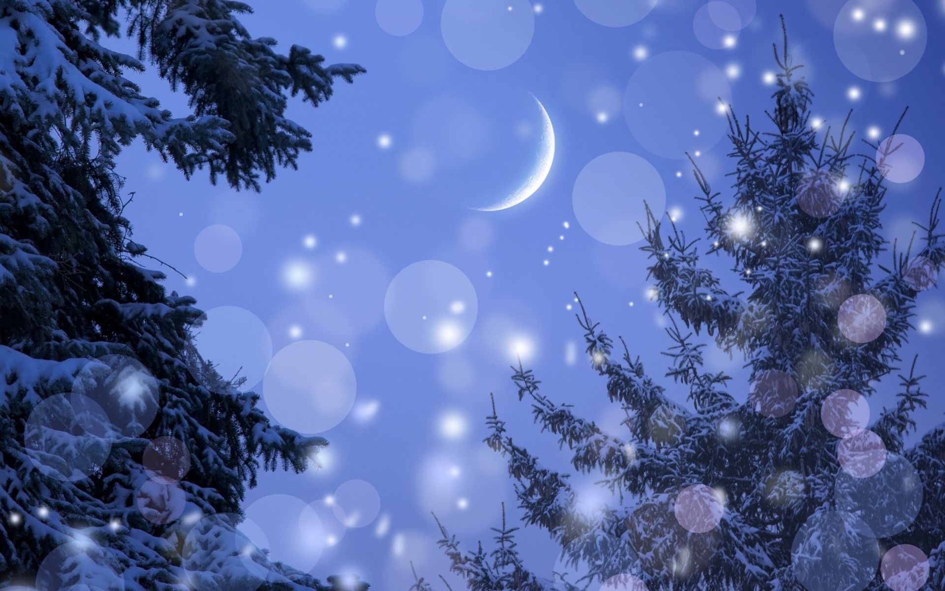 Winter snow snowflakes christmas trees forests skies seasonal moons holidays wallpaperx1200