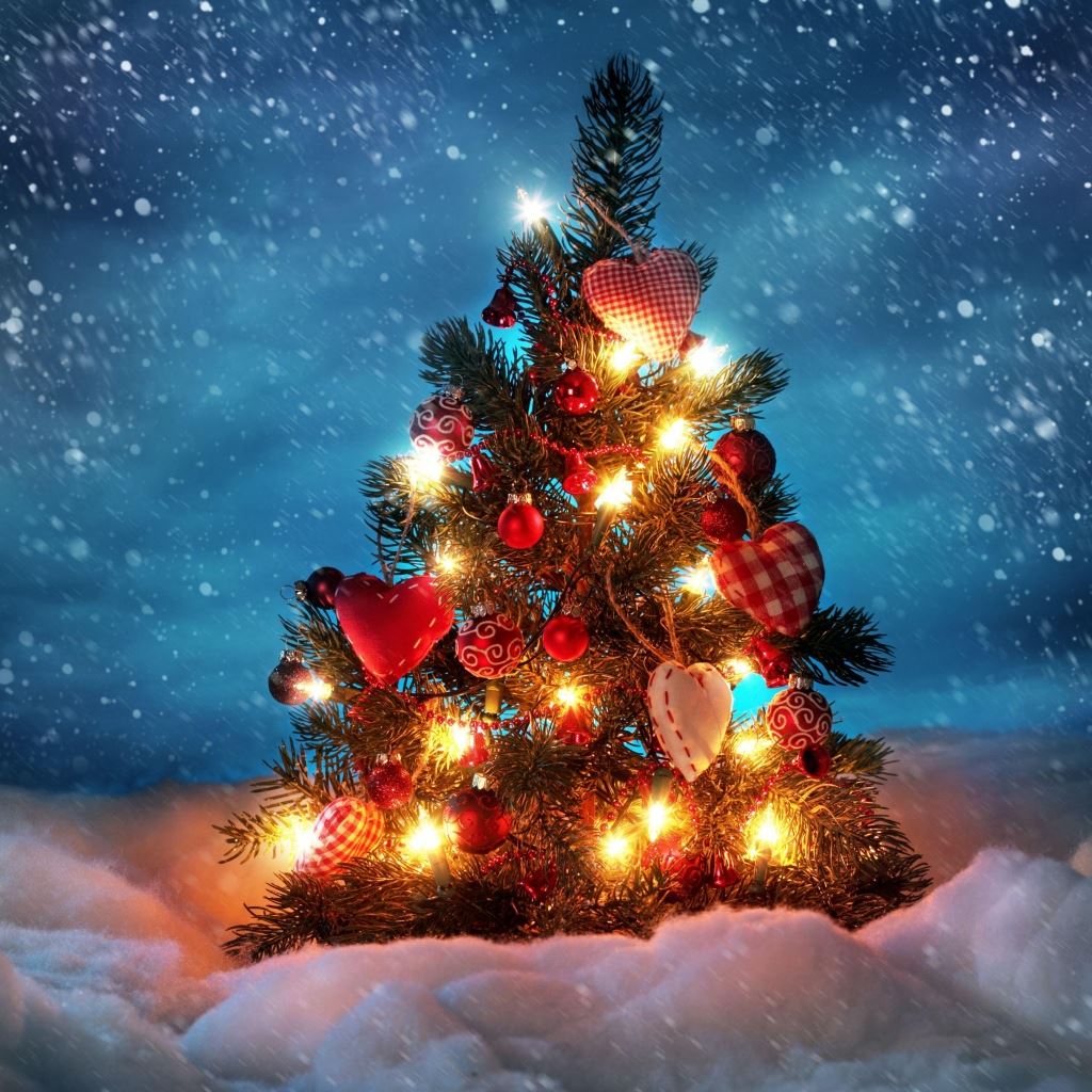 Tree new year christmas snow holiday night garland iPad Wallpaper Free Download