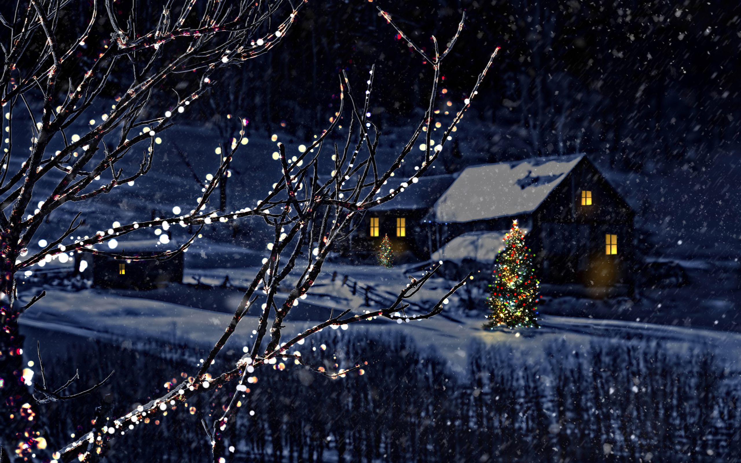 night, Christmas, Tree, New, Year, Winter, Bokeh Wallpaper HD / Desktop and Mobile Background