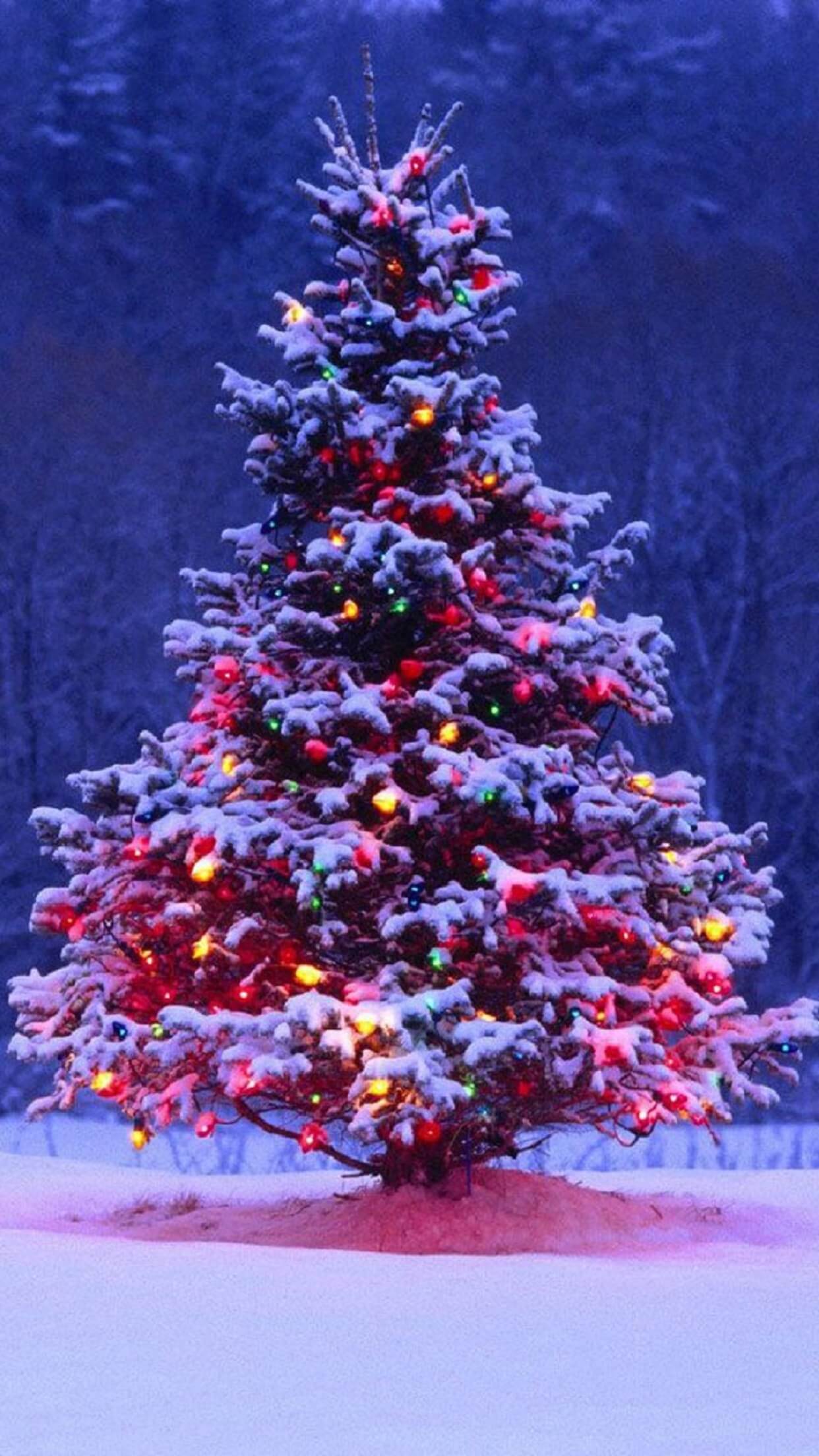 iPhone Wallpaper Tree North Pole Wallpaper & Background Download