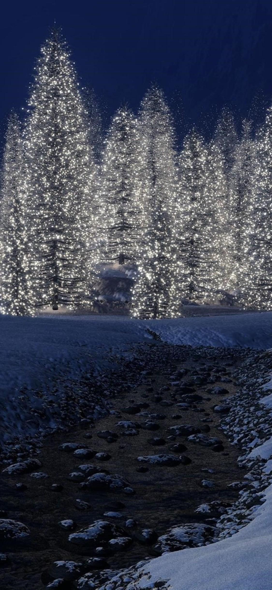 Winter Trees Phone Wallpaper