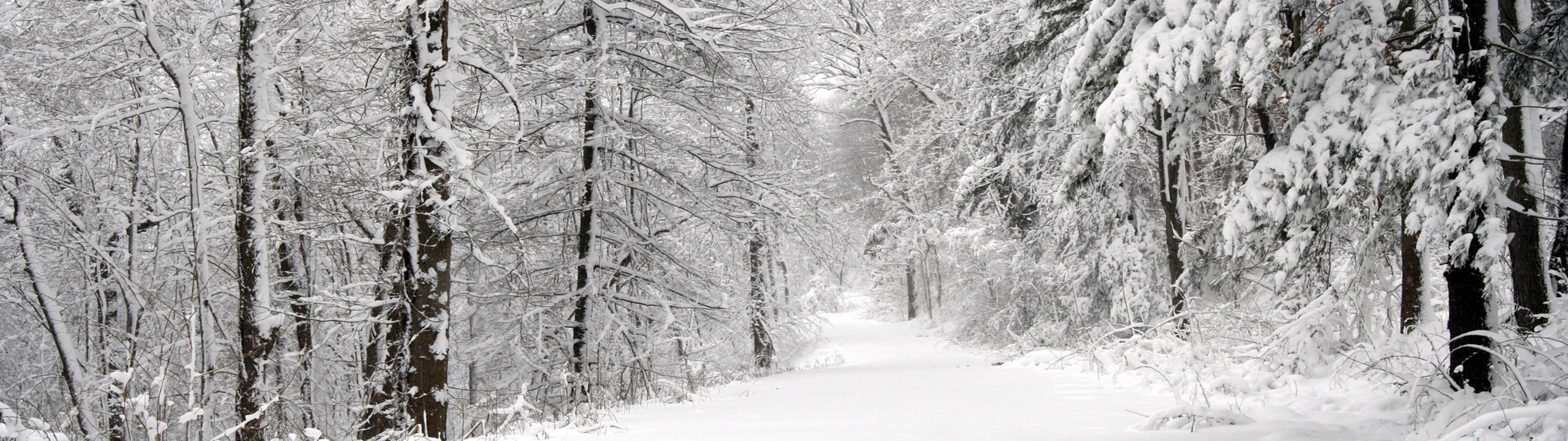#snow, #trees, #winter, #landscape, #nature, #multiple display, wallpaper. Mocah.org HD Desktop Wallpaper