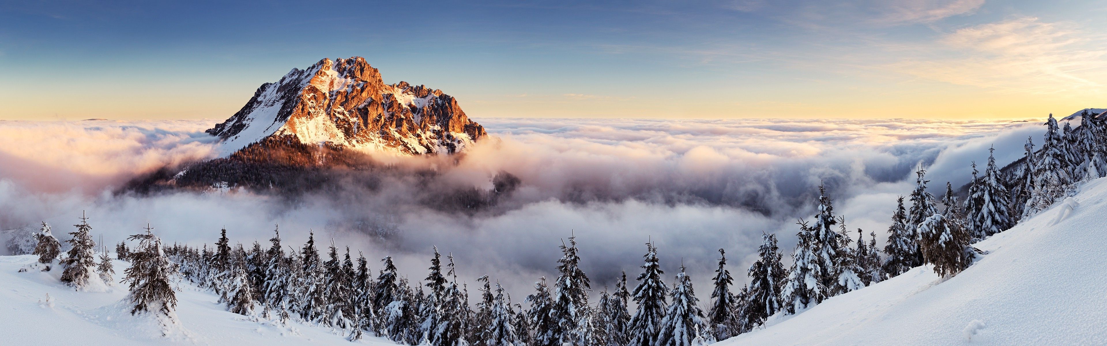 landscape, Mountain, Mist, Pine Trees, Winter, Slovakia, Multiple Display Wallpaper HD / Desktop and Mobile Background