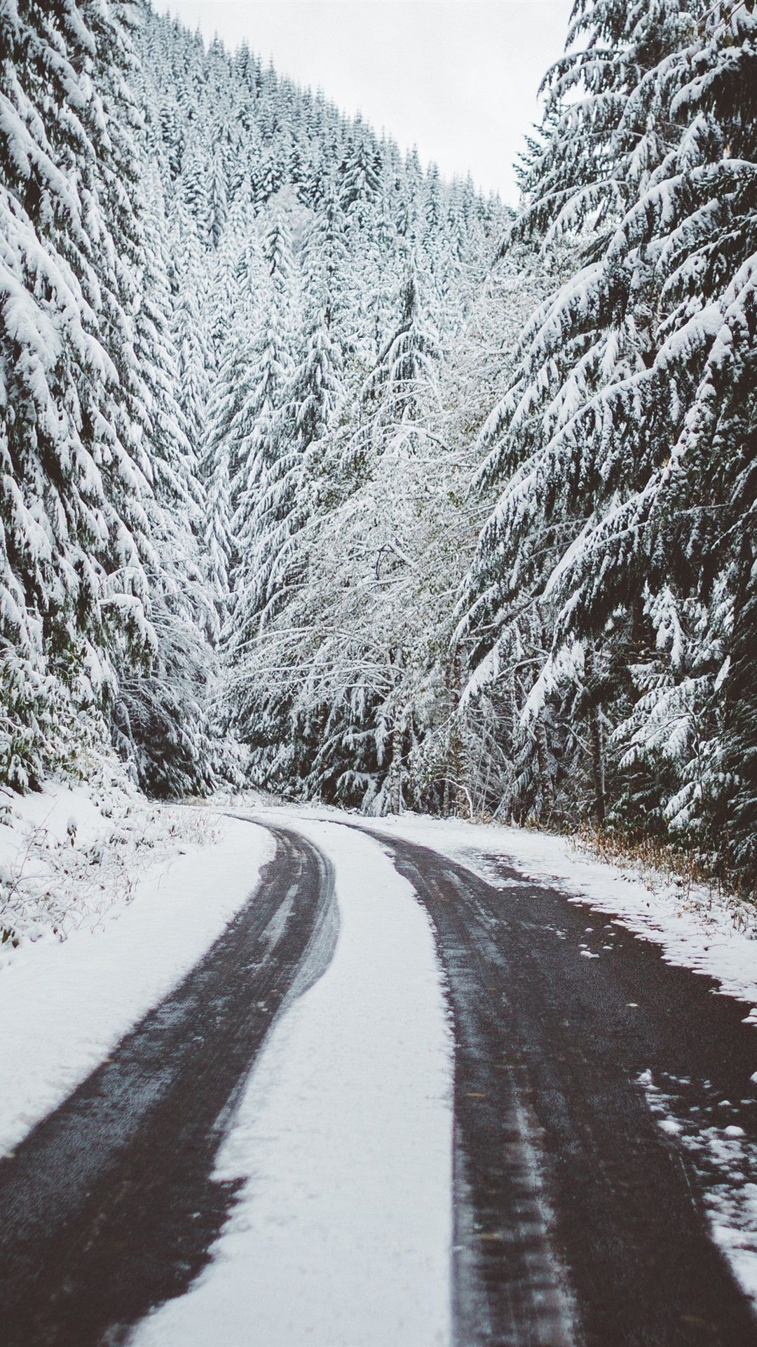 iPhone Winter Trees Wallpapers Wallpaper Cave