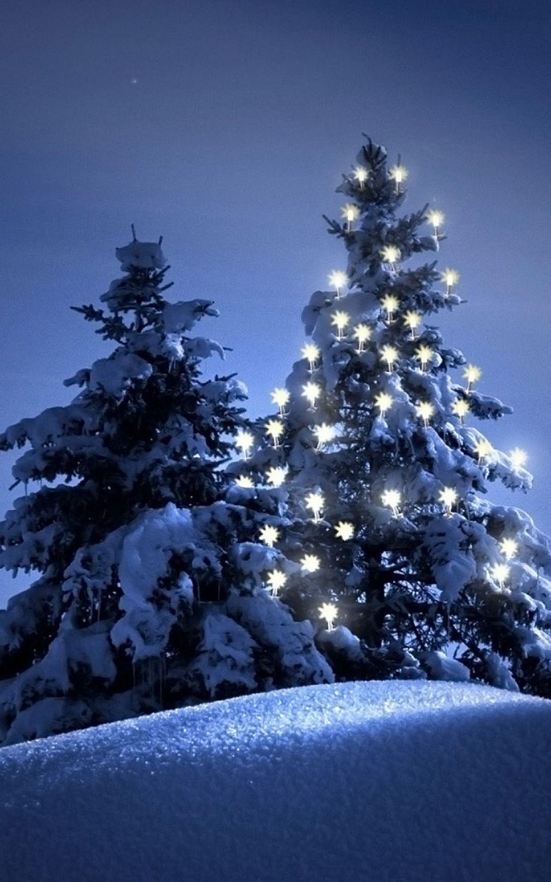 Free download Snow christmas tree winter iPhone 6 wallpaper [1080x1920] for your Desktop, Mobile & Tablet. Explore iPhone Winter Tree Wallpaper. Christmas Wallpaper for iPhone Palm Tree iPhone