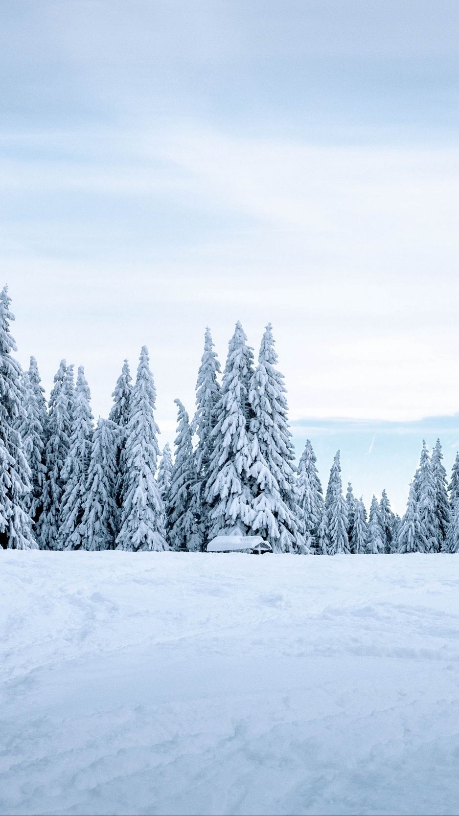 Wallpaper Snow, Winter, Trees, Winter Landscape, Snowy Wallpaper & Background Download