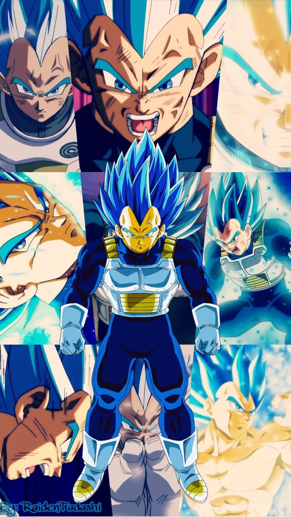 Vegeta Super Saiyan Blue Evolved Wallpapers Wallpaper Cave 9130