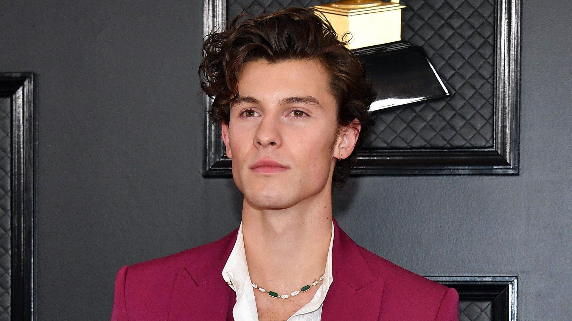 Camila Cabello and Shawn Mendes Arrive Separately at 2020 GRAMMYs
