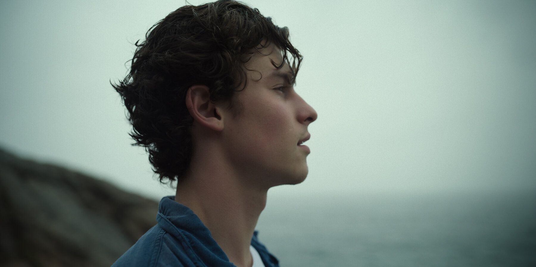 Shawn Mendes: In Wonder' Review: A Skin Deep Portrait