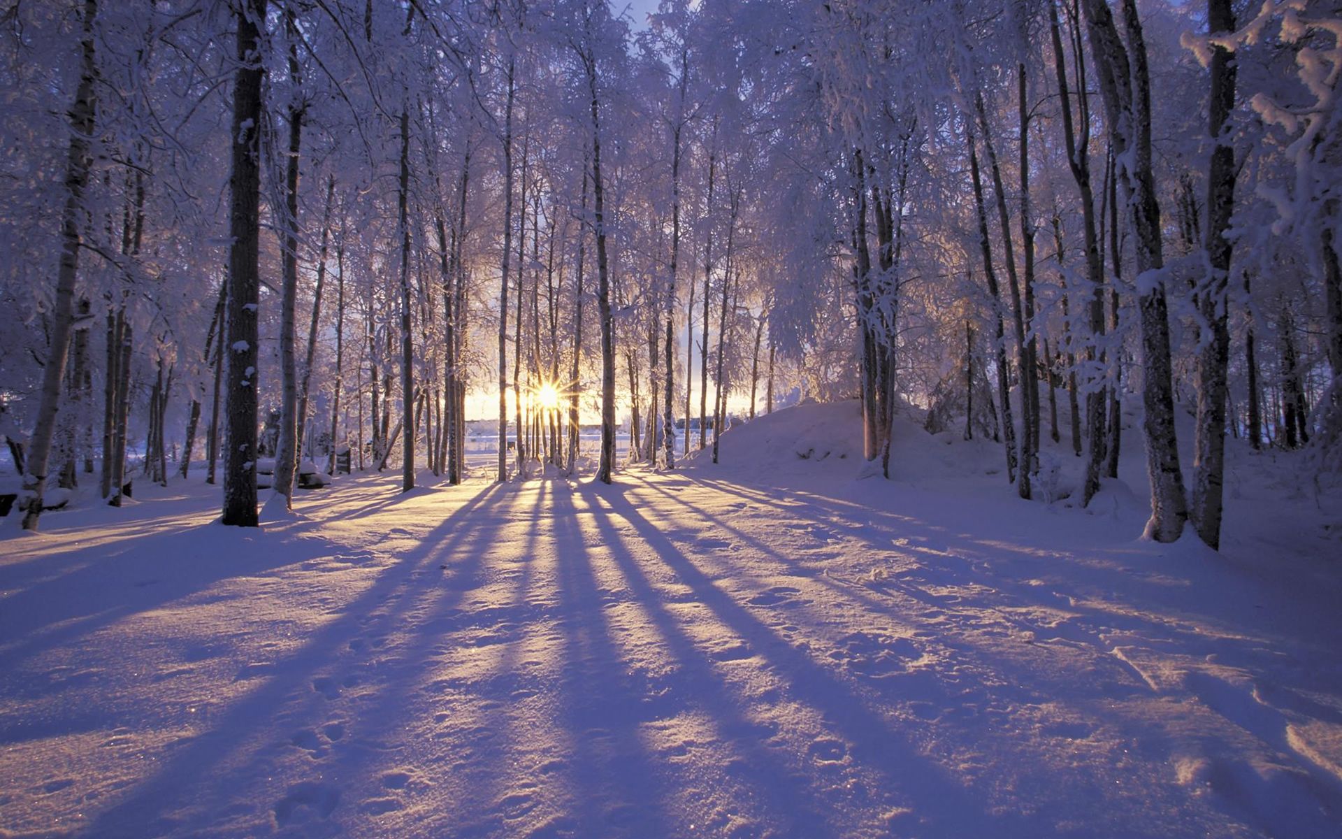 Winter High Resolution Wallpaper