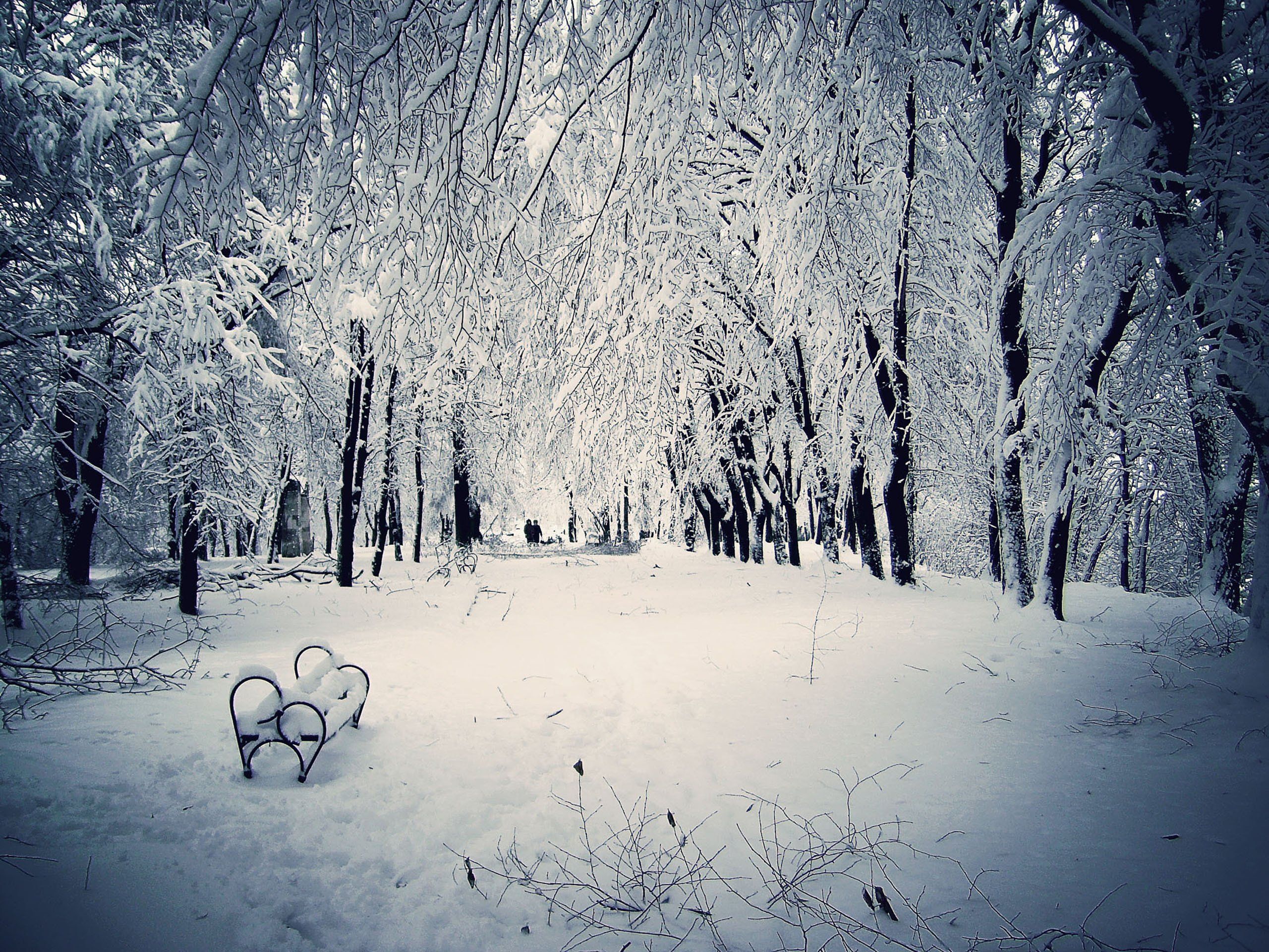 Snowy Winter Scenes Wallpaper