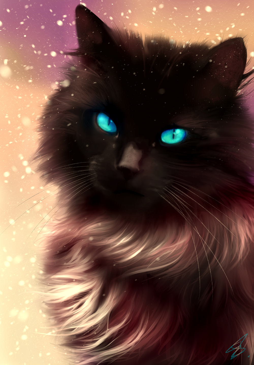 cat black blue eyes christmas snow fur beautiful drawing portrait animal winter. Cat drawing, Cute cat wallpaper, Cat with blue eyes