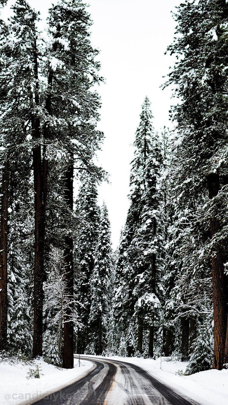 Aesthetic Winter Wallpaper iPhone Tumblr