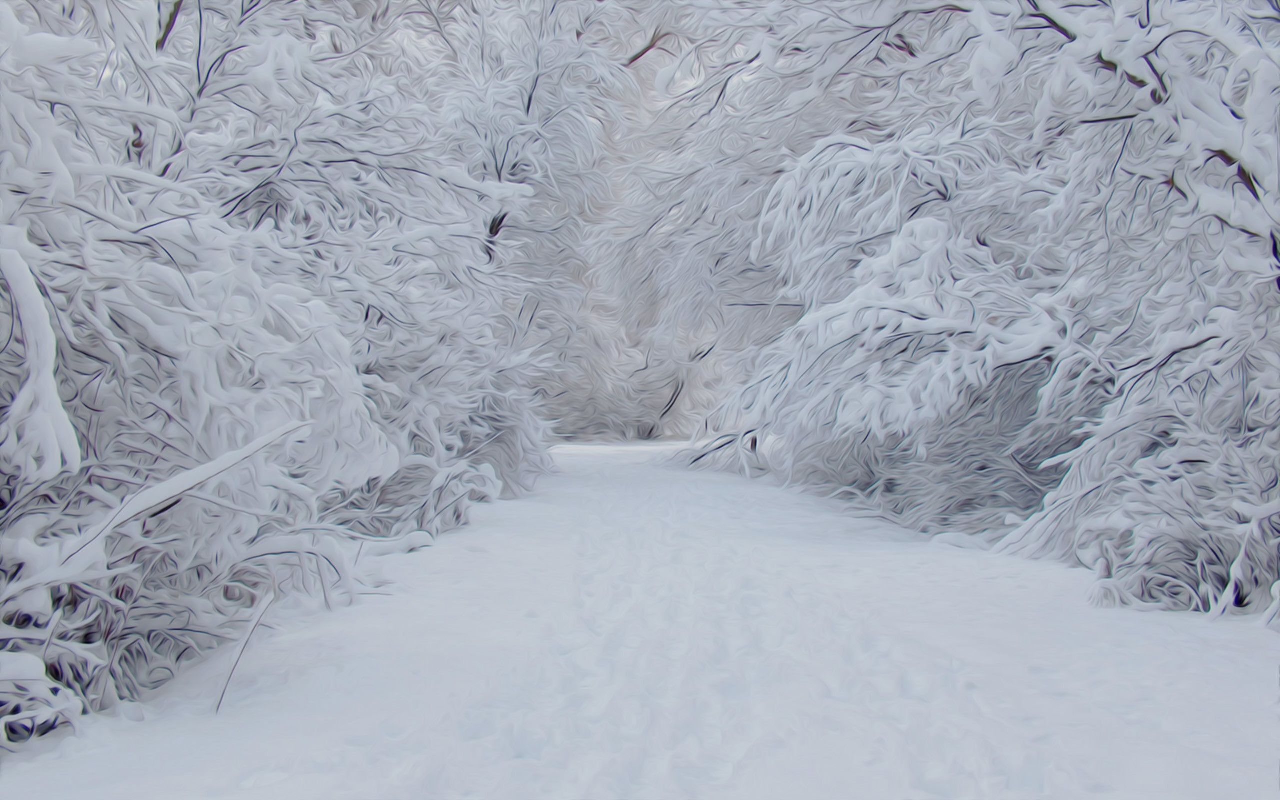 Snow Scenes