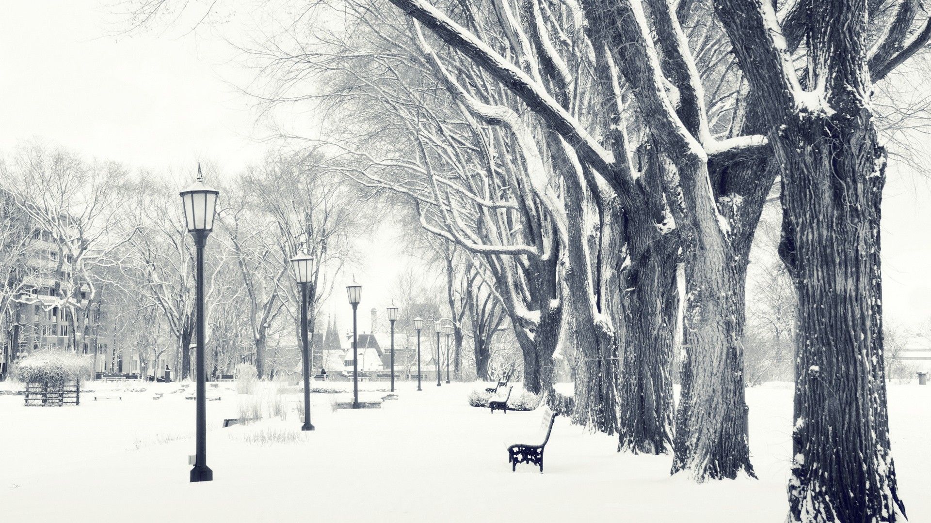 Winter Desktop Wallpaper