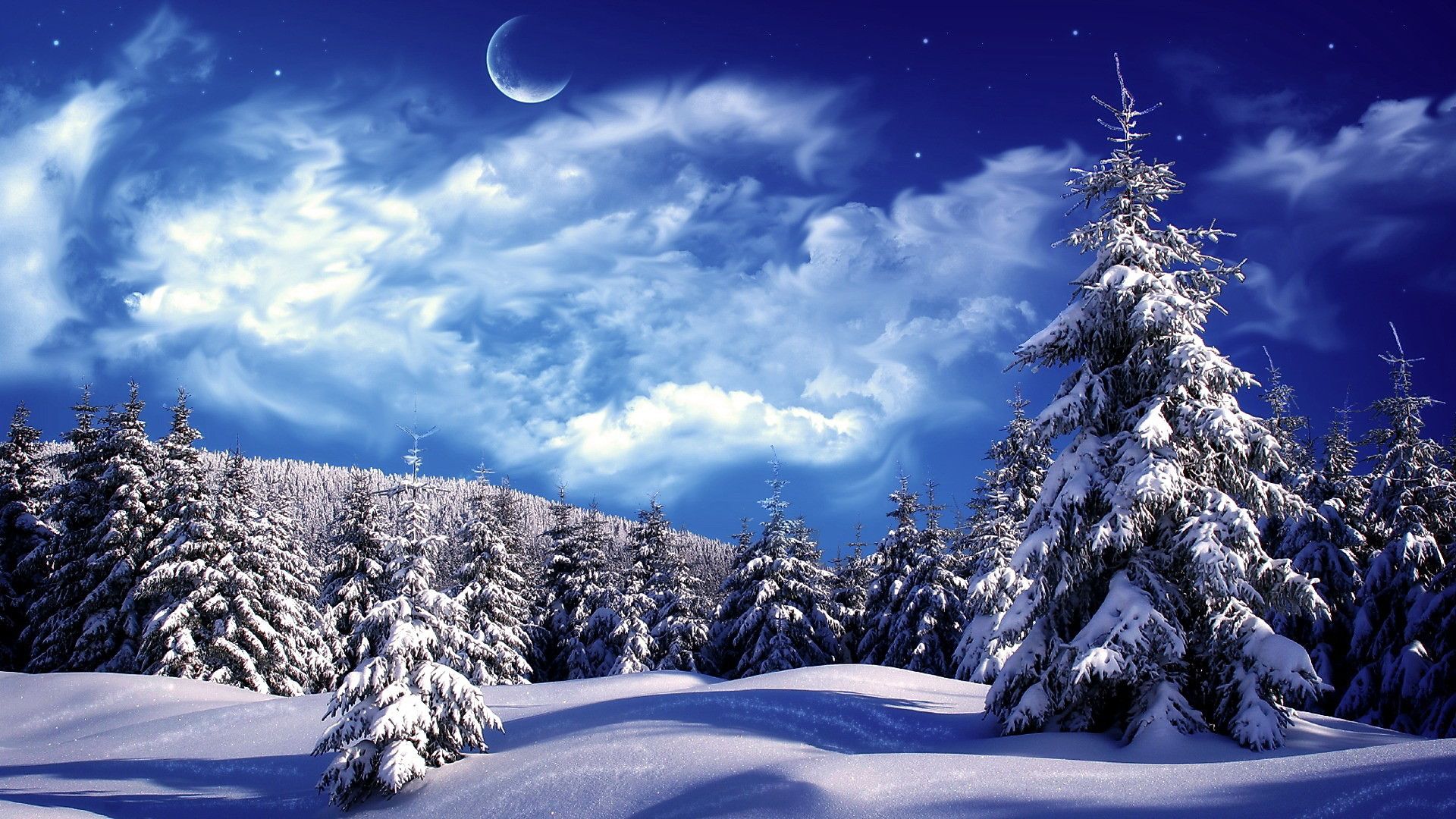 Snowy Scene Wallpaper