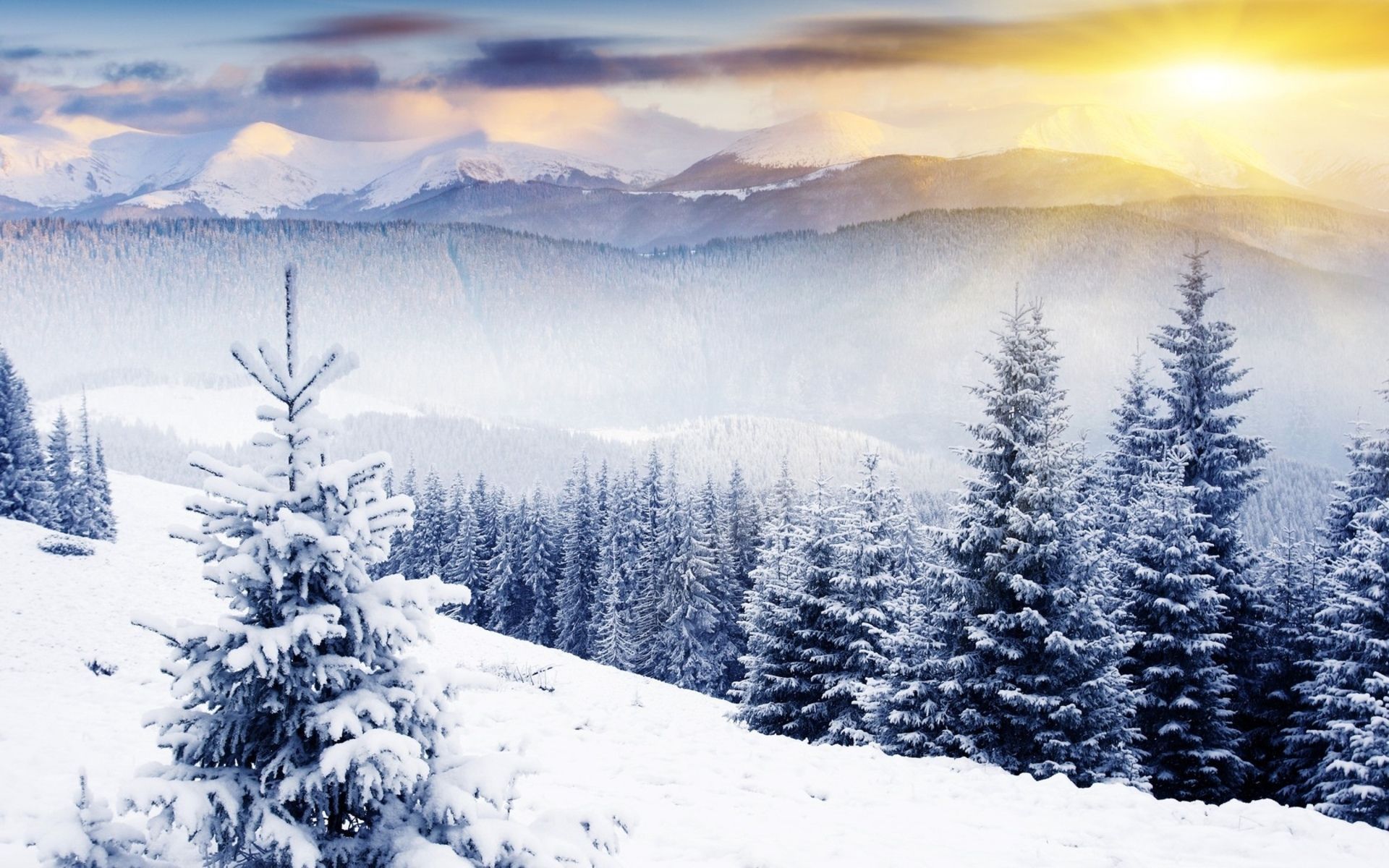 Winter Scenery Wallpaper Free Winter Scenery Background