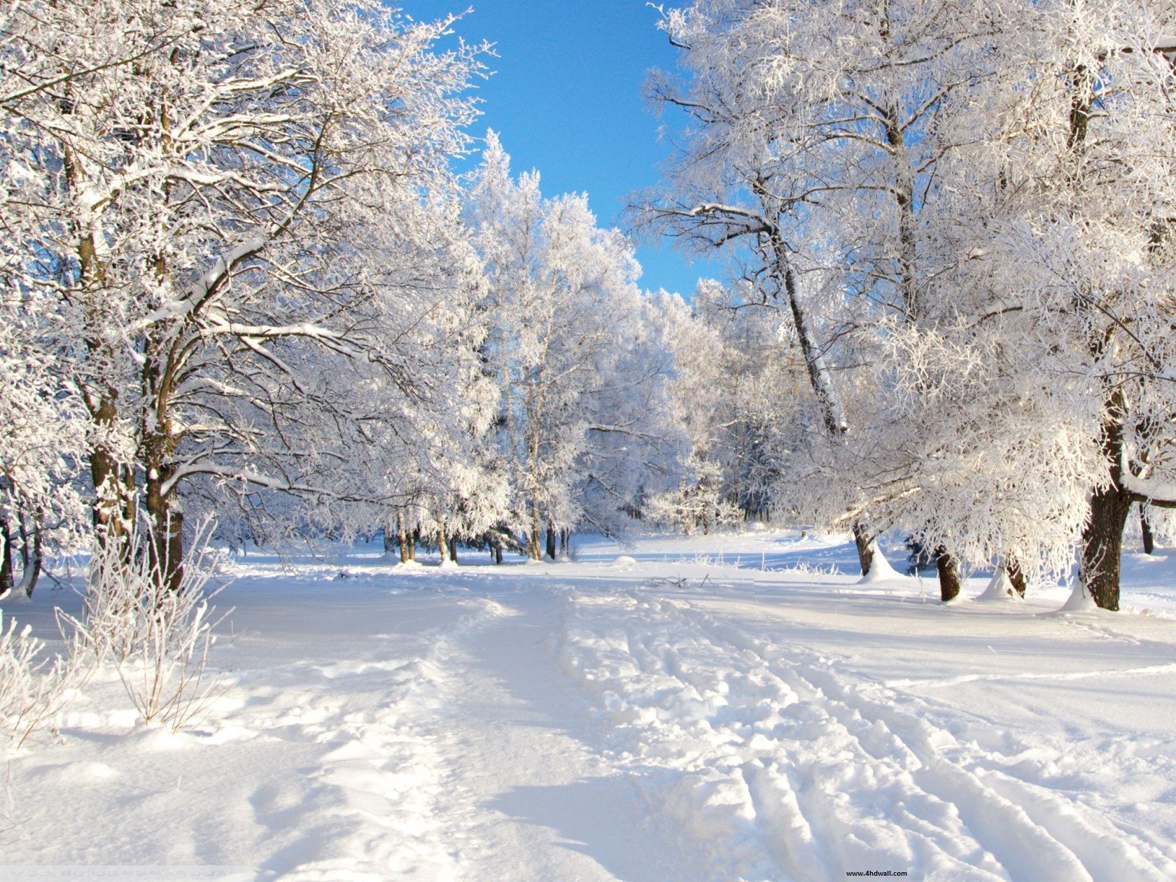 Free Winter Wallpaper Download