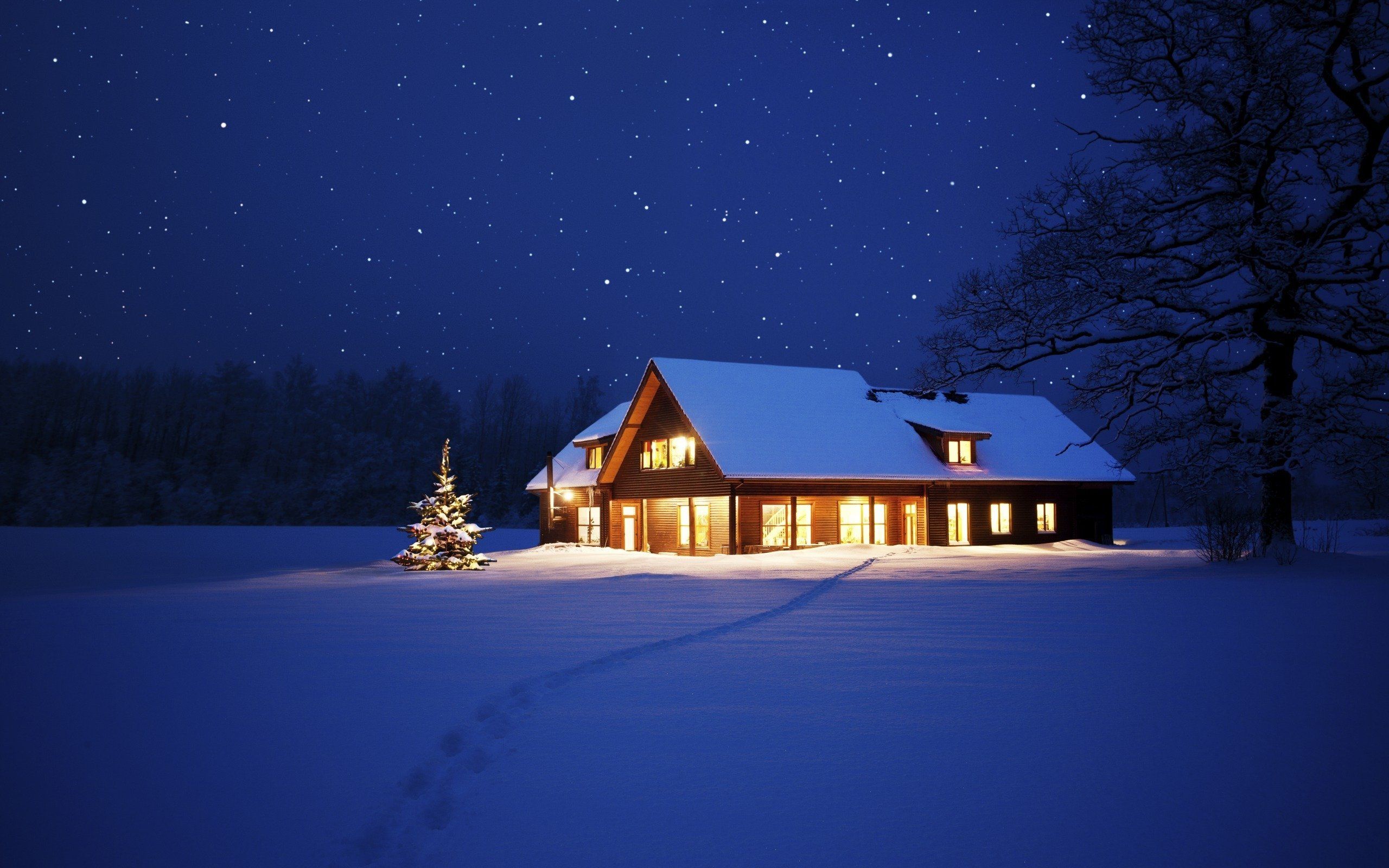 Beautiful Cool Winter Night HD Wallpaper