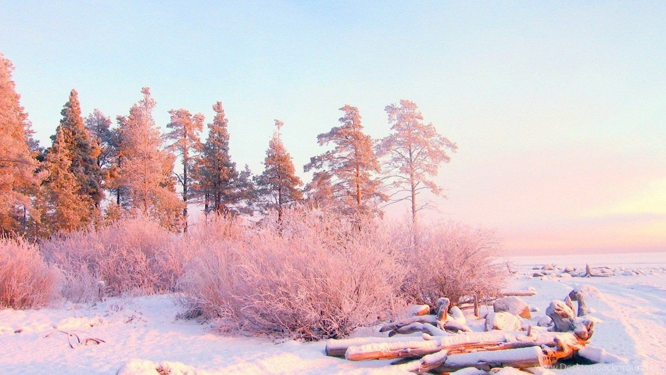 Winter Snow Desktop Wallpaper HD 49827 Dongxue Series. Desktop Background