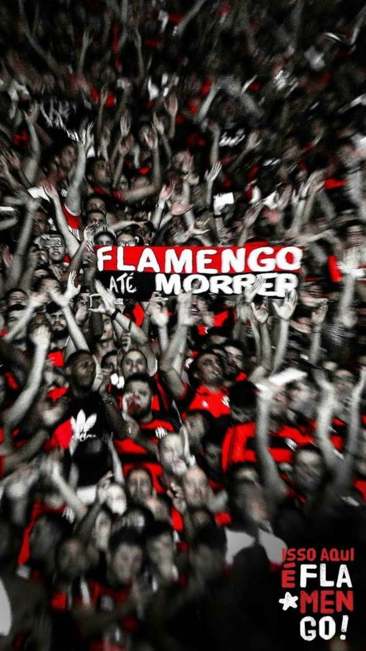 Flamengo wallpaper