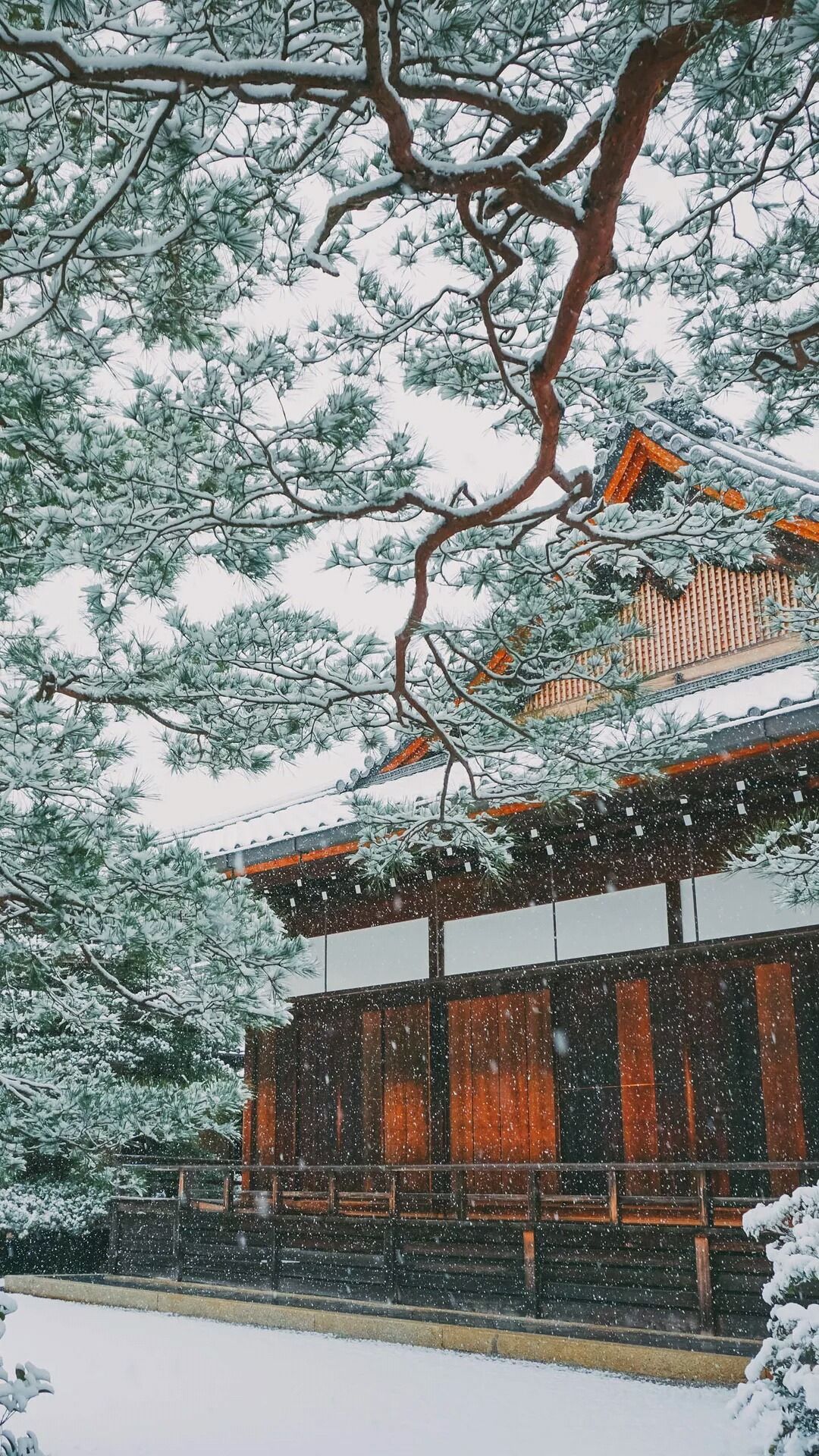 Snowing in Japan. iPhone wallpaper winter, Winter wallpaper, Asian wallpaper