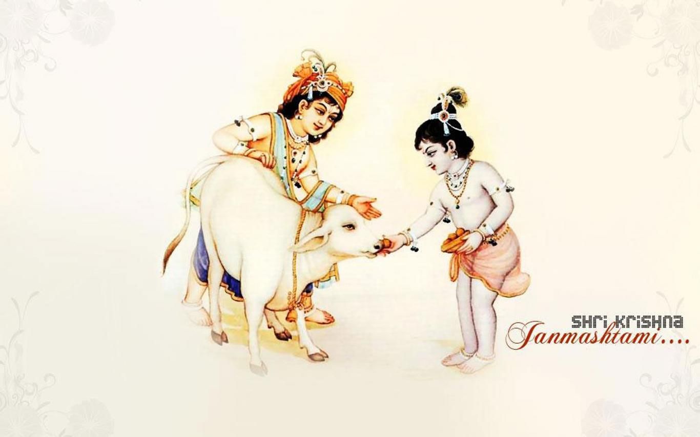Download Krishna balram with small cow Wallpaper HD FREE Uploaded by (wallpaper id)