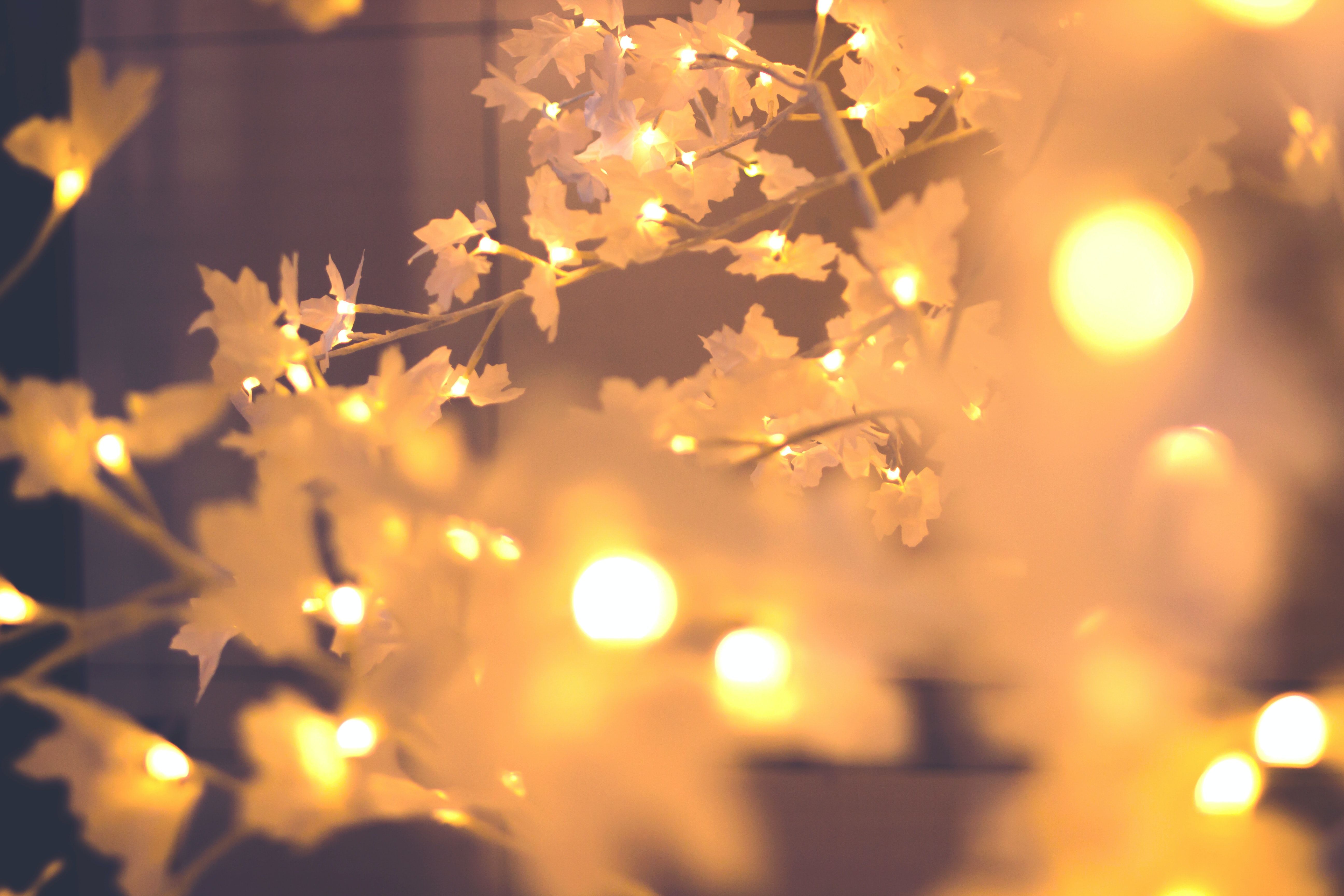 Christmas Lights On Trees Wallpapers Wallpaper Cave