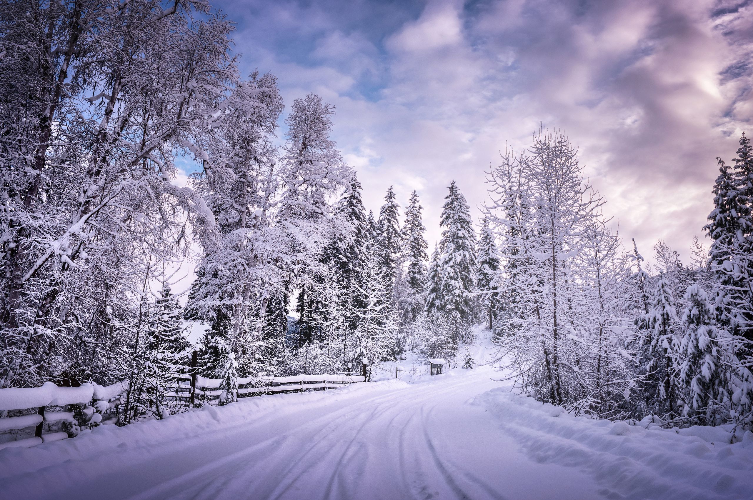 Winter Road Snow Trees White Chromebook Pixel HD 4k Wallpaper, Image, Background, Photo and Picture
