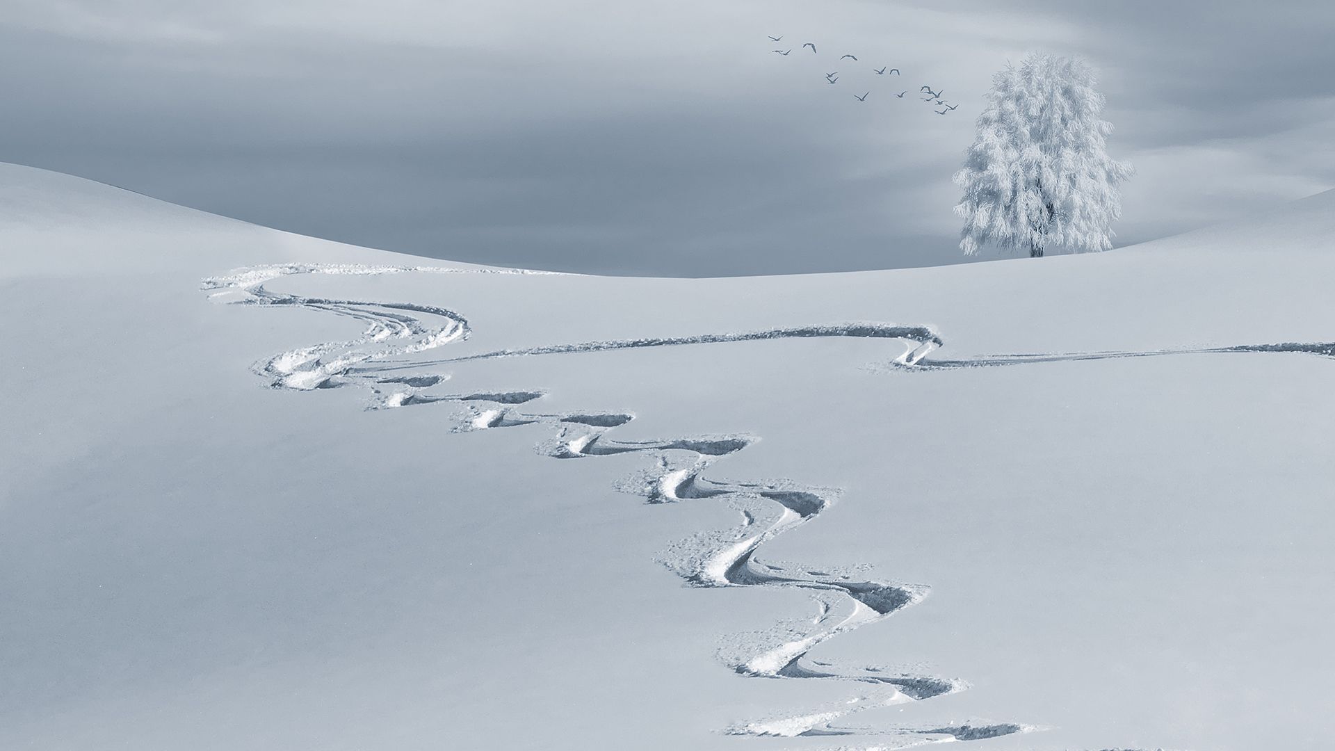 Winter Tracks Chromebook Wallpaper