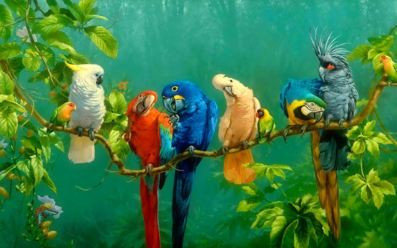 Parrot Colorful Birds On Branch Red Yellow Blue White Macaw Parrot Wallpaper HD 1920x1080, Wallpaper13.com