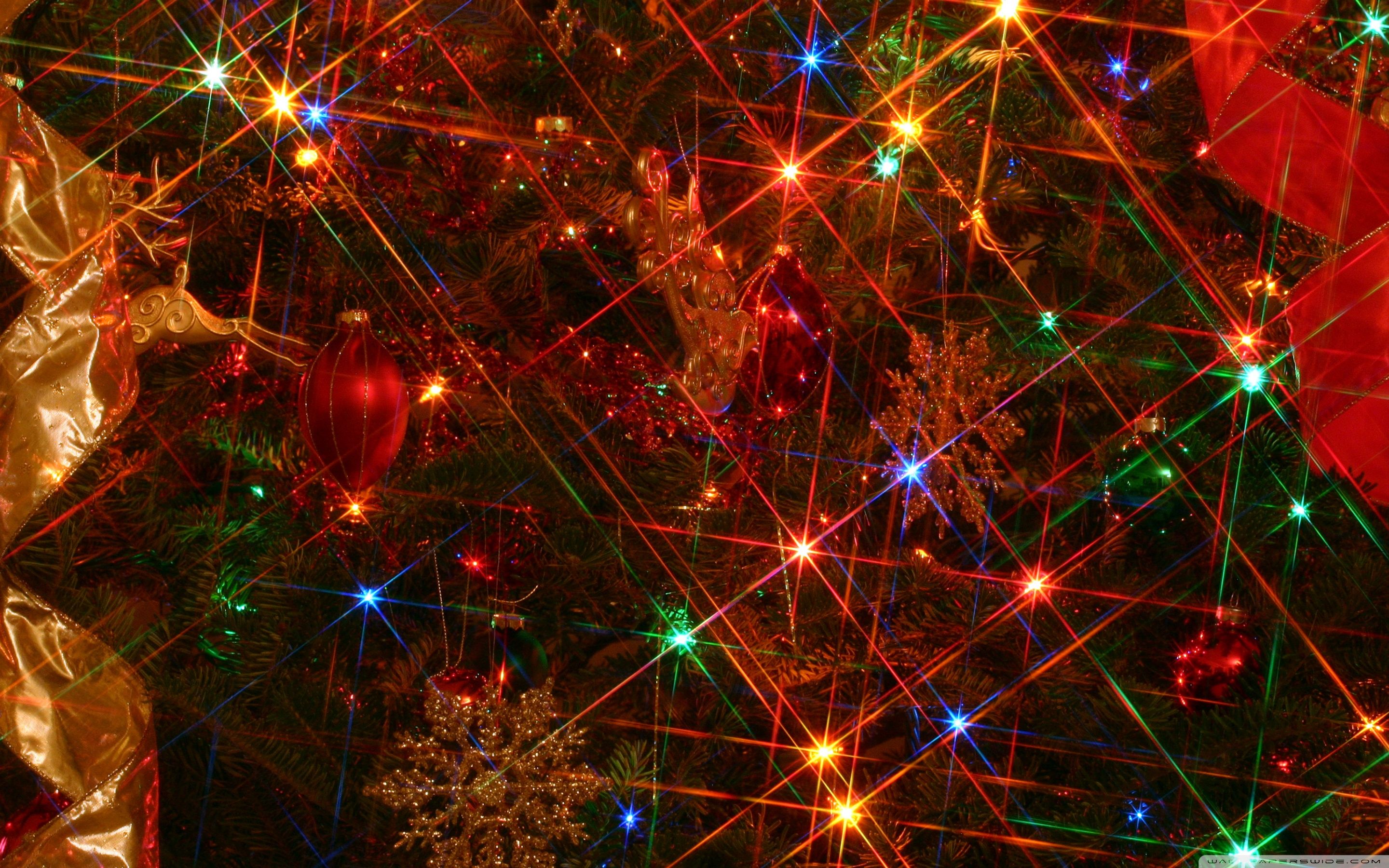 Christmas Tree Lights Ultra HD Desktop Background Wallpaper for 4K UHD TV, Widescreen & UltraWide Desktop & Laptop, Tablet