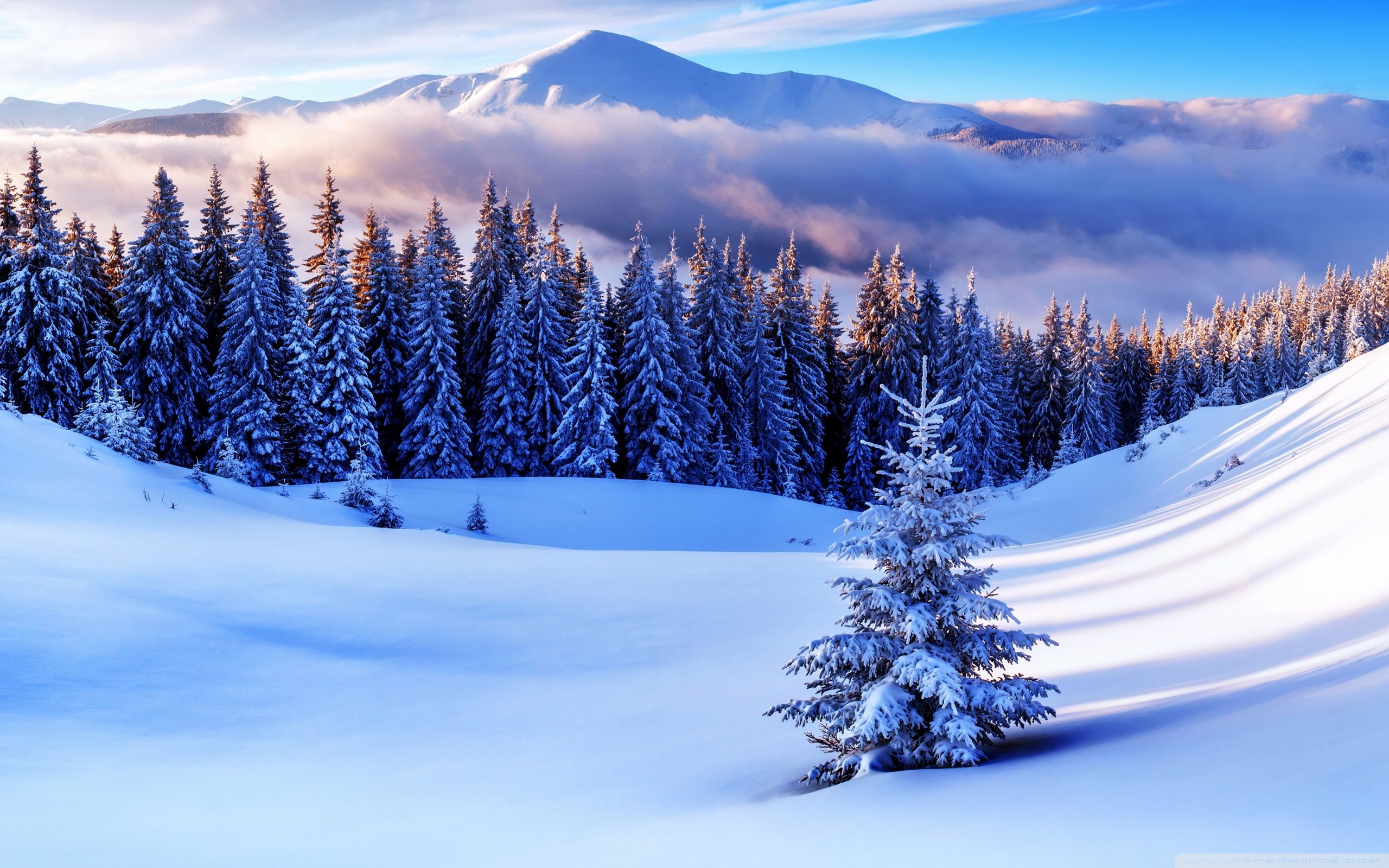 Download Winter Season, Mountains UltraHD Wallpaper