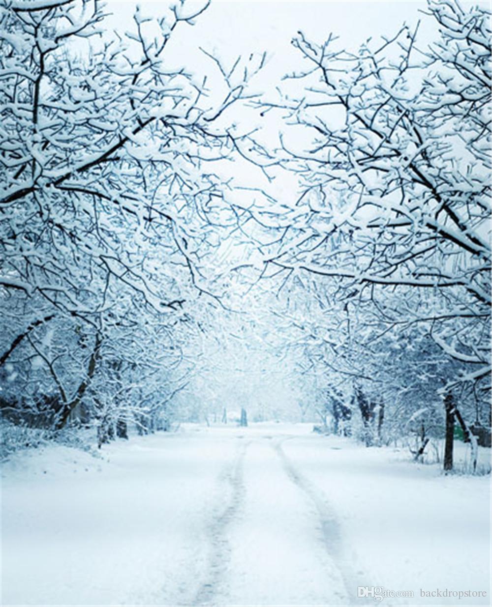 Snow Scenery Background