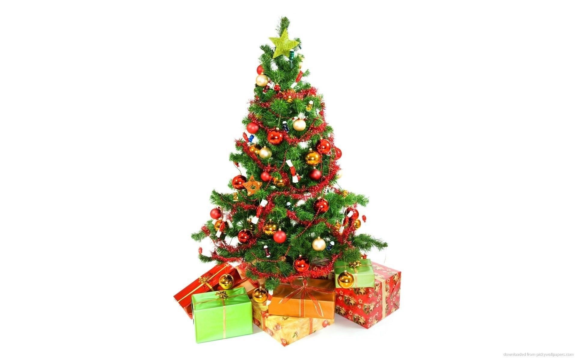 Download 1920x1200 Christmas Tree With Presents Underneath On A. Desktop Background
